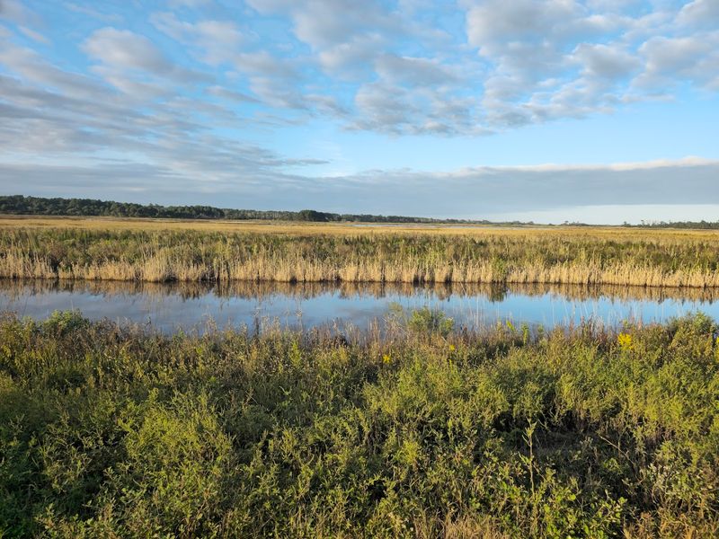 Sunsets Over The Salt Marsh