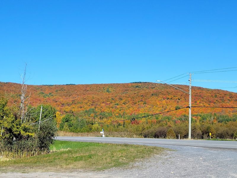 Hiking The Shoreline When You Need To Move Your Legs
