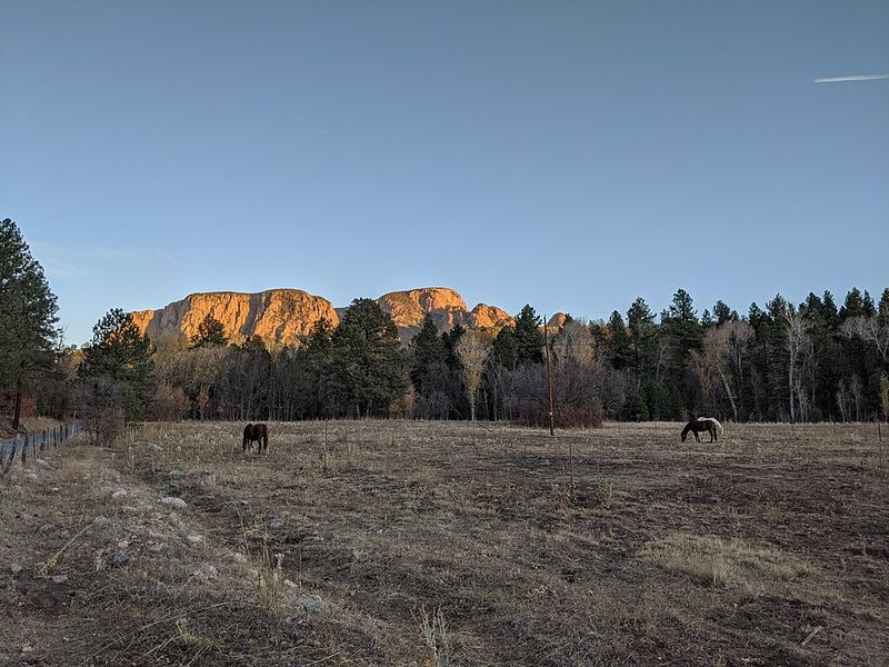 Nature's Best Road Trip