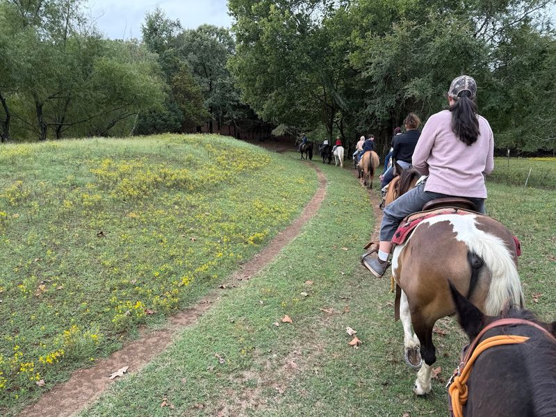 Sunshine Acres Ranch, Romance