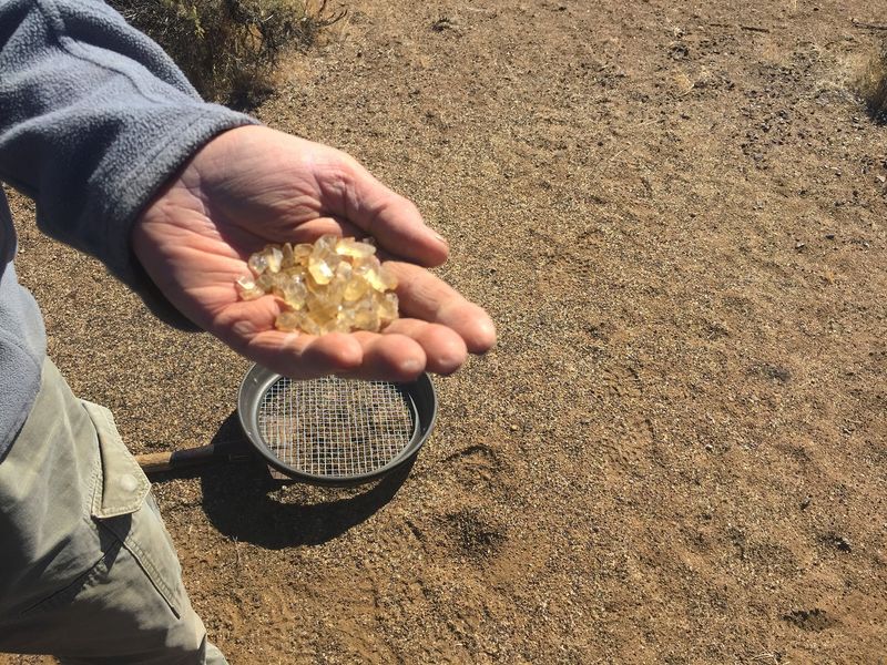 Sunstone Public Collection Area
