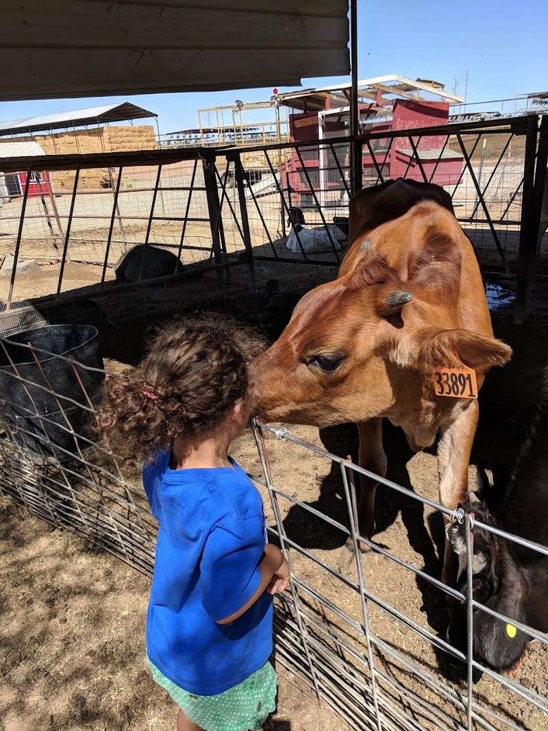 Superstition Farm, Mesa, Arizona