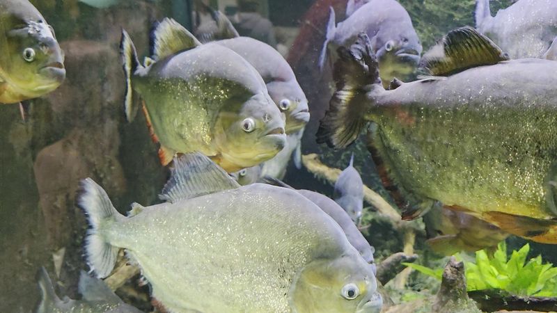 Mind The Flow Of People