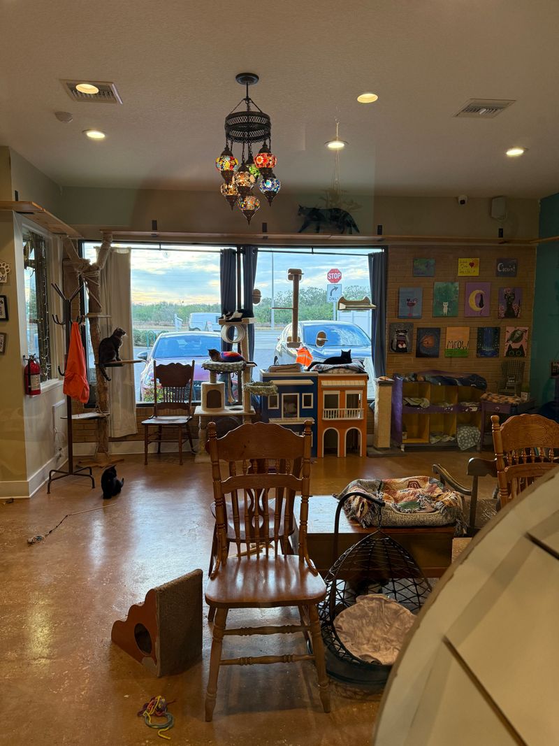 Unique Experience Unlike Traditional Cafes