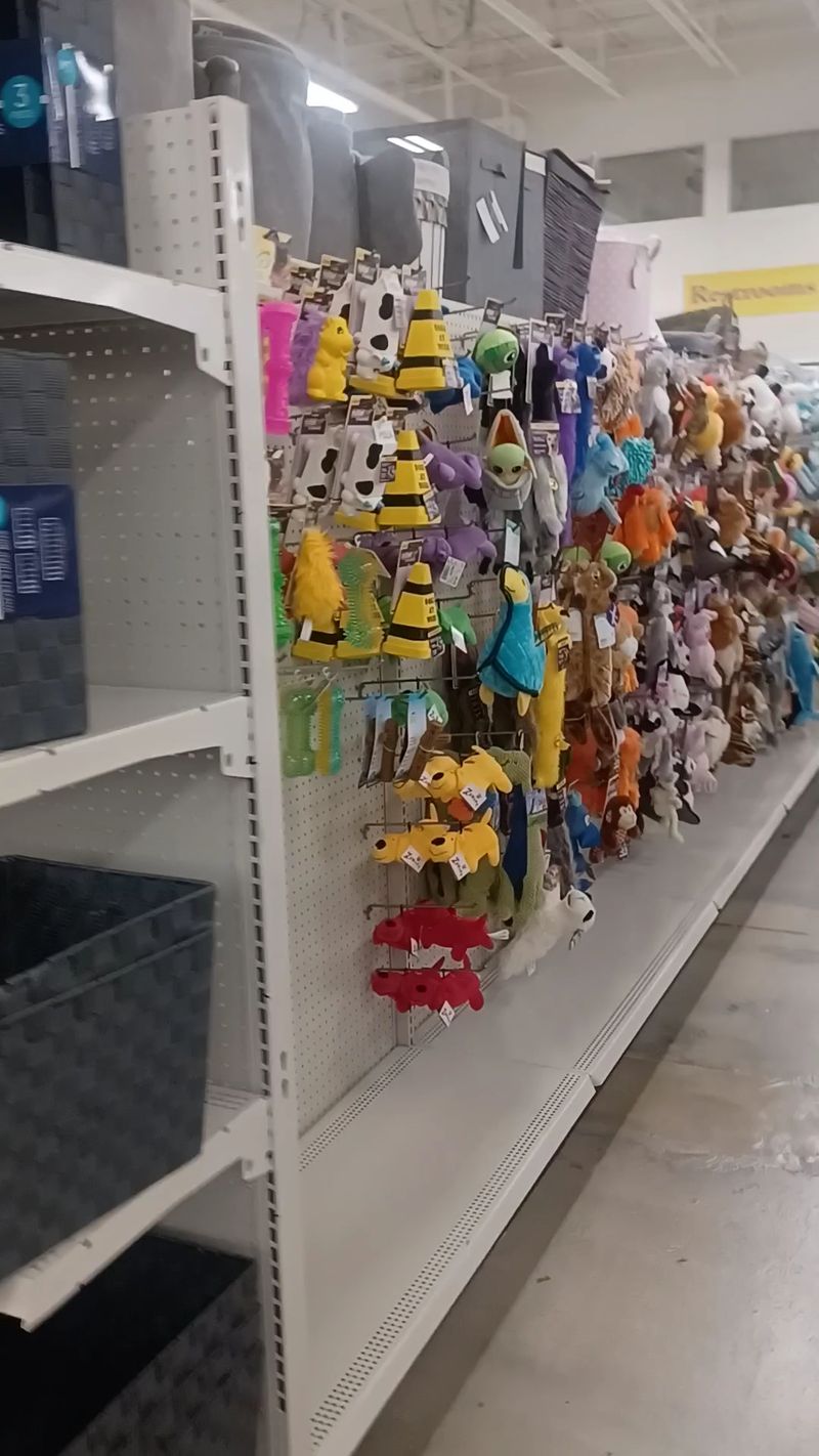 Surprises For Kids And Pets Down The Aisles Surprises For Kids And Pets Down The Aisles