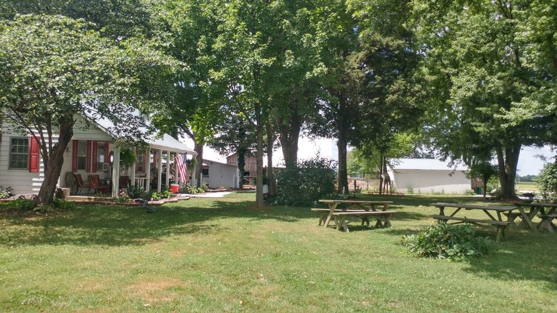 A Relaxed Farm Day, Not A Theme Park