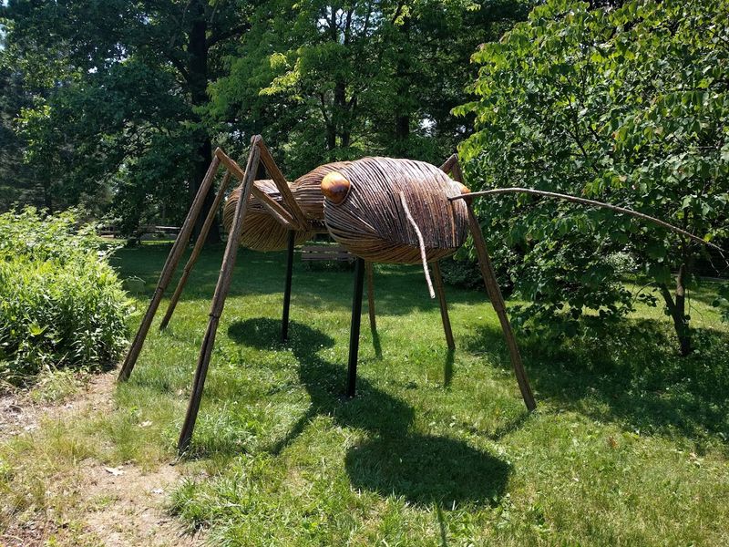 Surreal Sculptures Hidden Along The Forest Paths