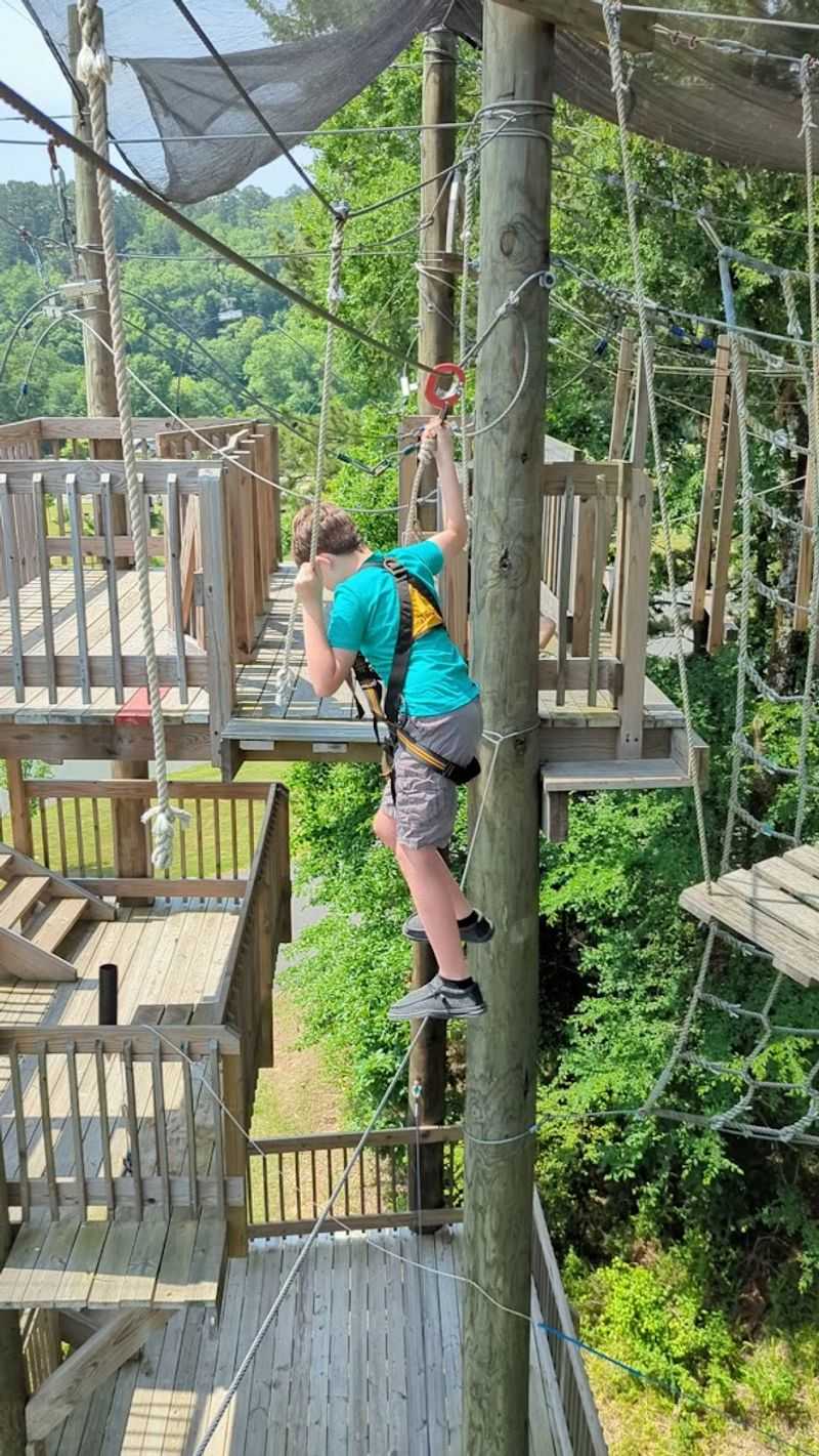 Suspended Bridges With A Wild Summer View Suspended Bridges With A Wild Summer View