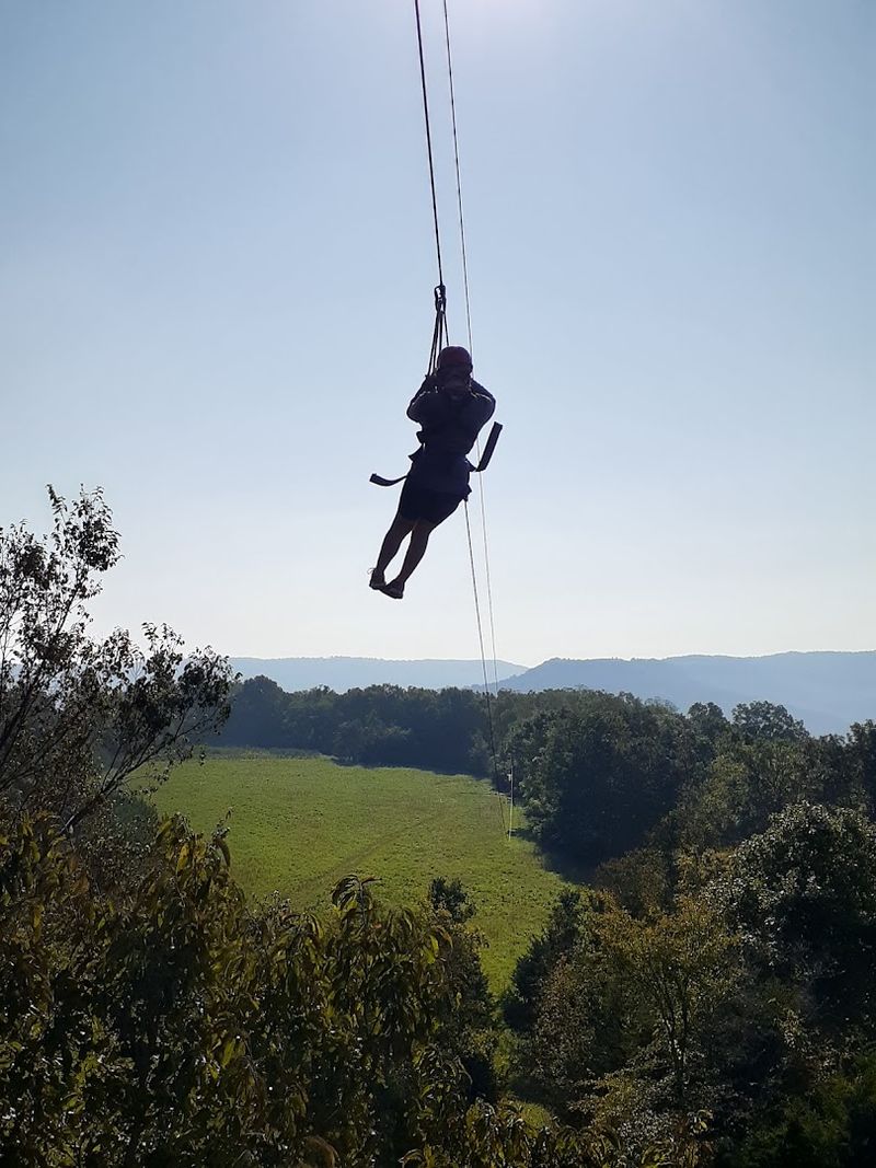 Suspended In The Ozark Forest