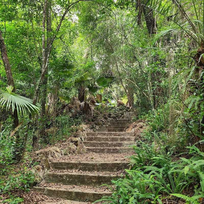 Historic Stone Staircases Built Into The Ravine Walls