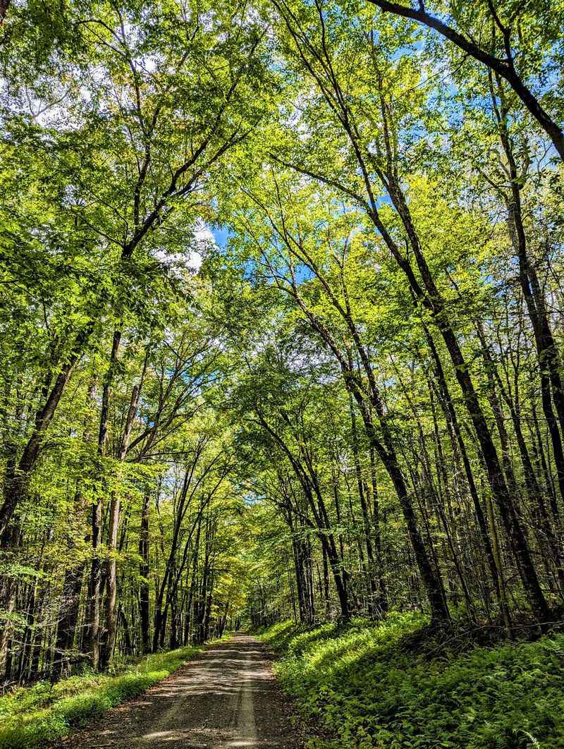 Susquehannock ATV Trail, Potter County, Pennsylvania
