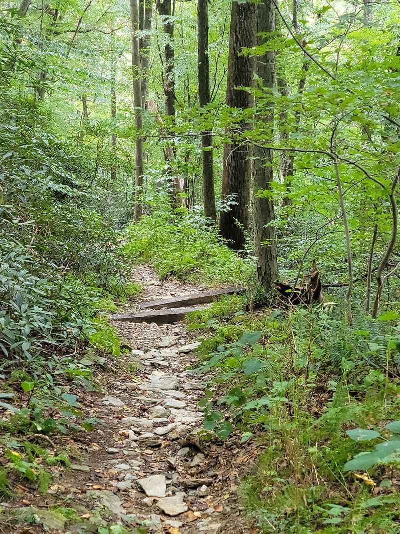 Susquehannock Trail System, West Branch Township, PA