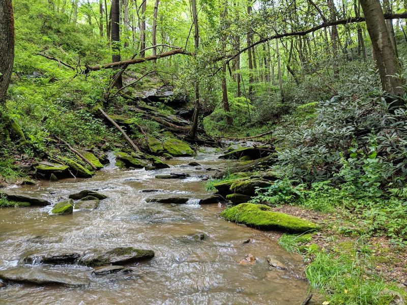 Susquehannock Trail System