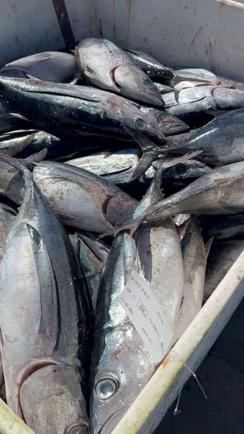 Sustainability At The Heart Of Every Catch