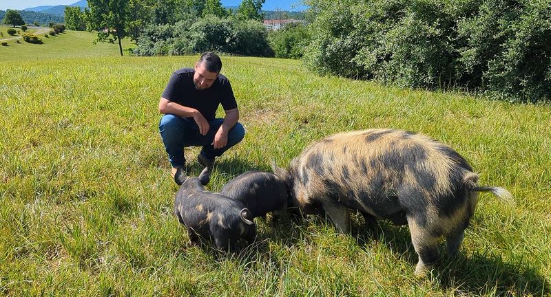 Heritage Breed Meats