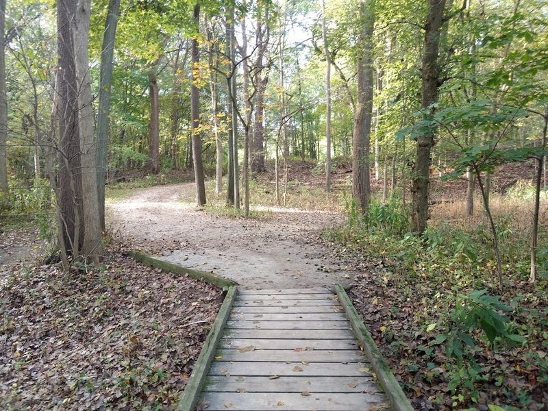 Swan Creek Preserve Metropark, Toledo, Ohio