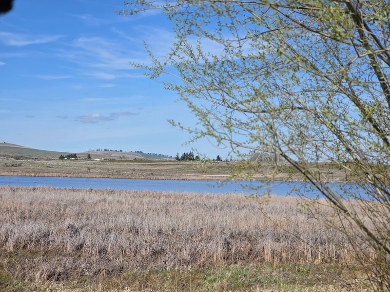Swanson Lakes Wildlife Area - Lincoln County