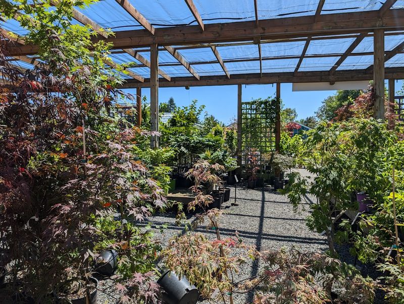 Swansons Nursery As Your Post-Meal Playground