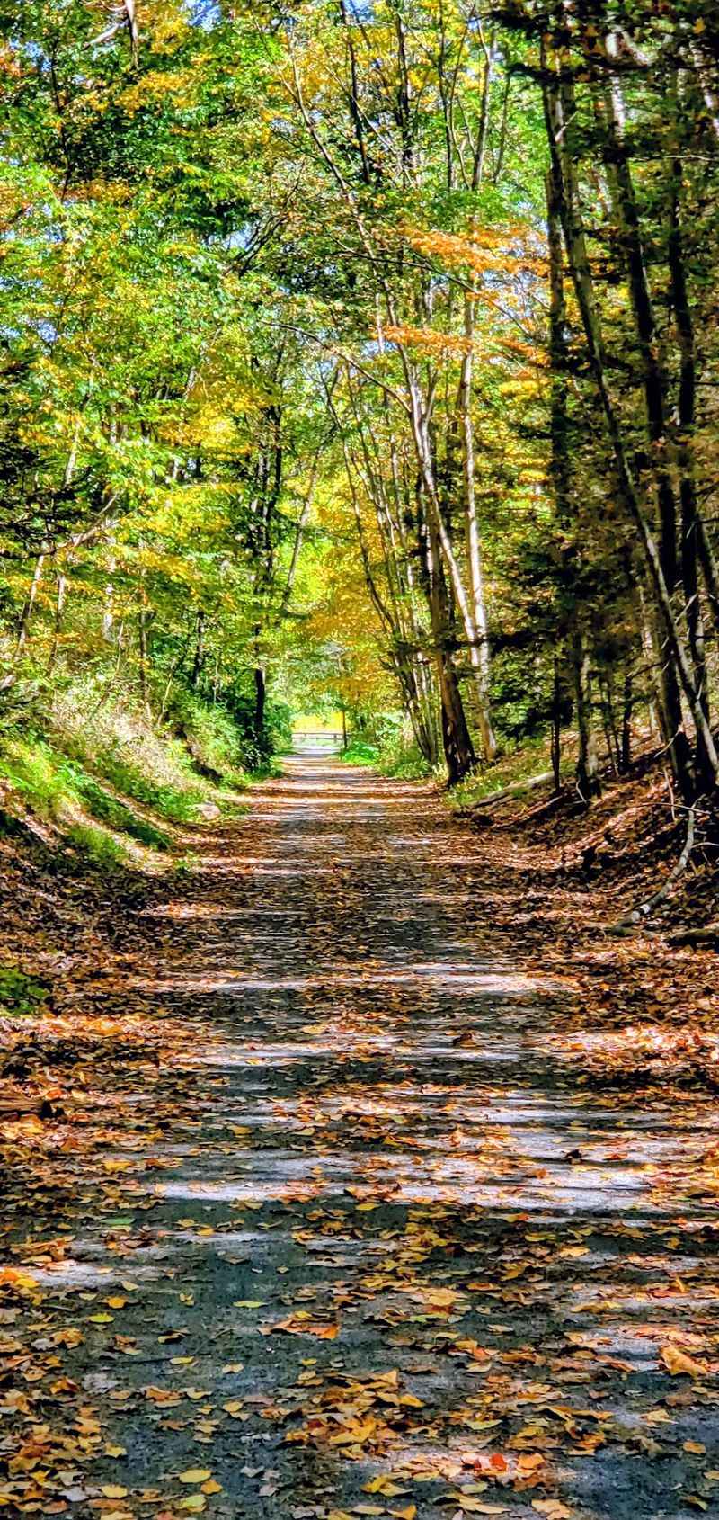 Swatara State Park, Pine Grove, Pennsylvania