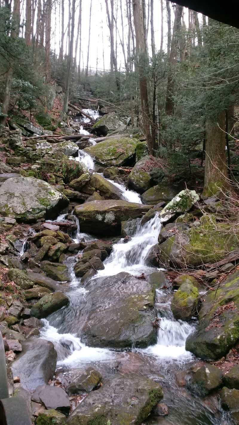 Swatara State Park, Pine Grove, Pennsylvania