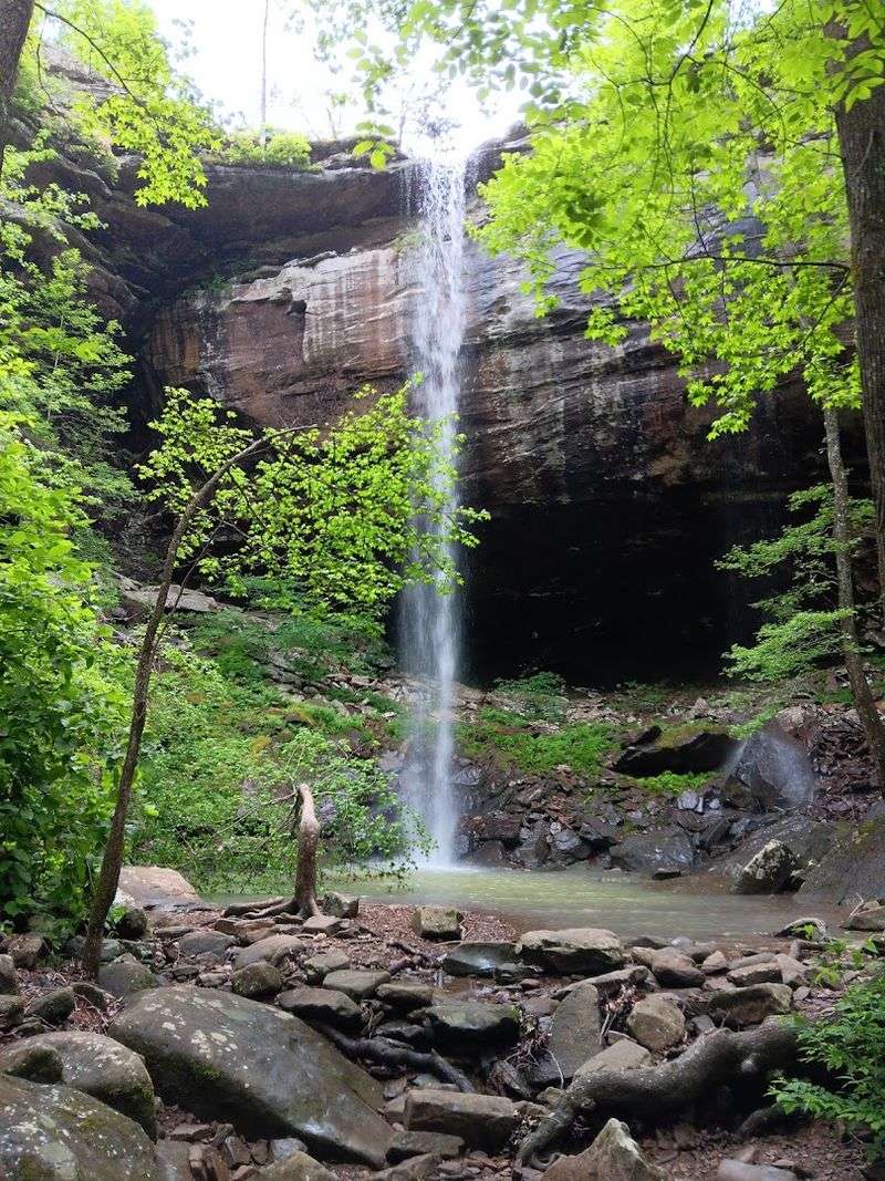 Sweden Creek Falls Natural Area