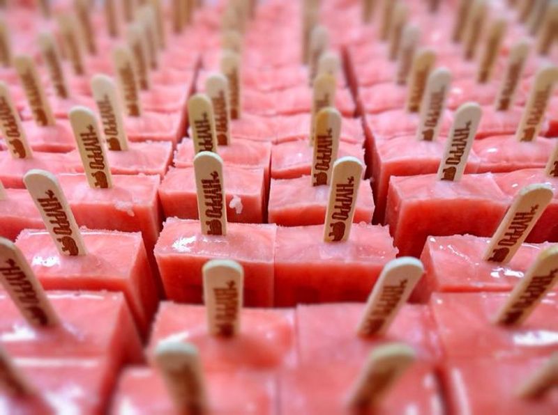 The Hyppo Gourmet Ice Pops – St. Augustine