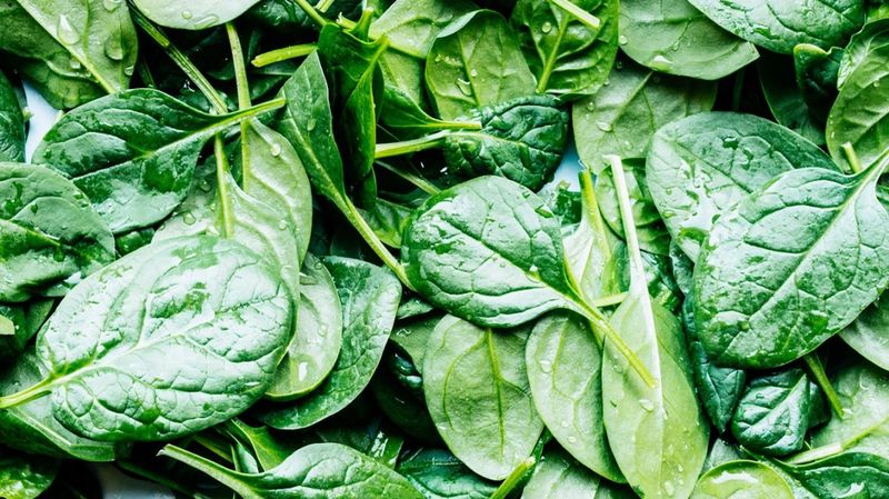 Spinach: The Mighty Green