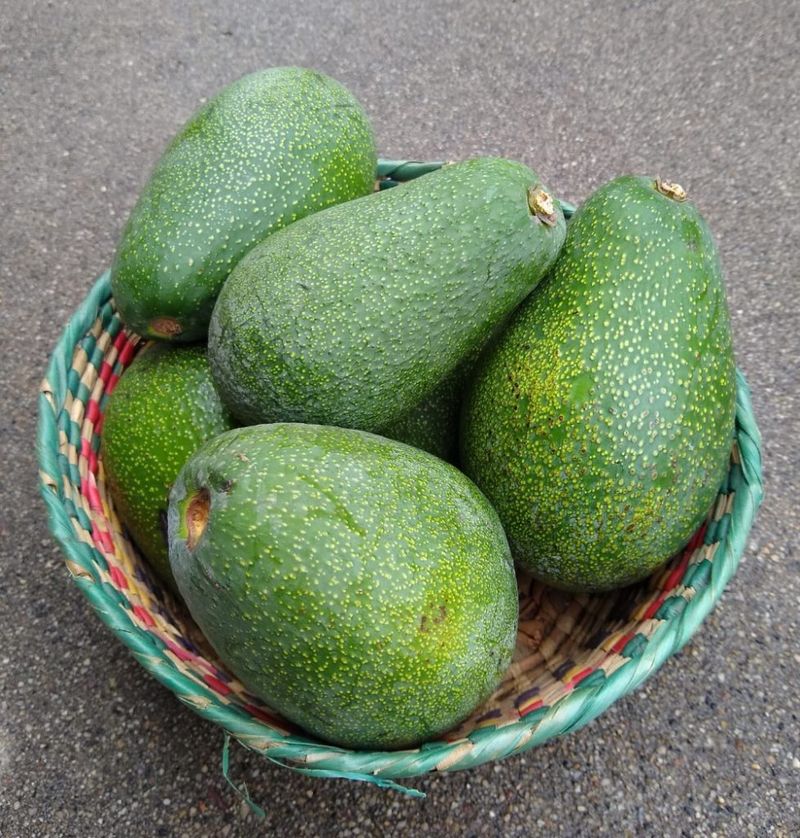 California Green Gold