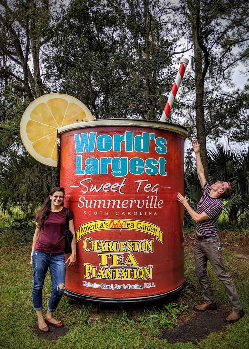 Sweet Tea History Runs Deep In The South Carolina Lowcountry