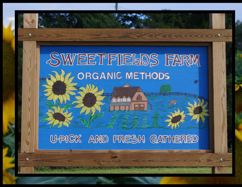 Sweetfields Farm Sweetfields Farm
