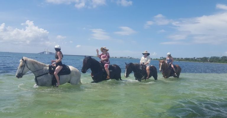 Swim With Horses At Florida’s Hidden Spot Cypress Breeze Farm