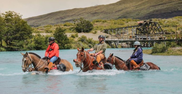 Swim With Horses Beneath The Arizona Sky At This Desert Farm