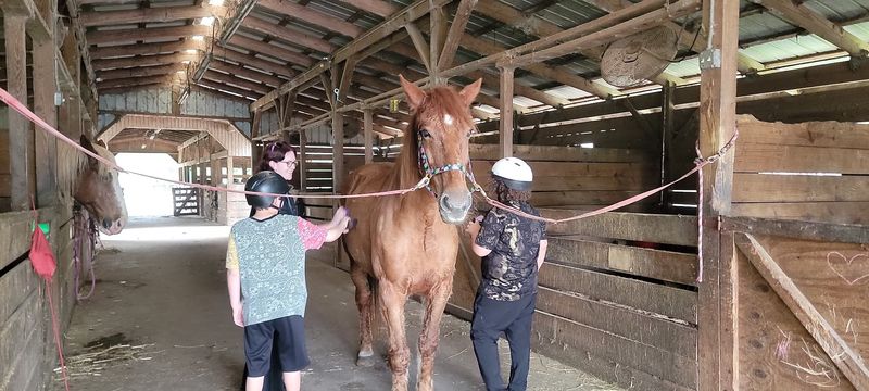 Kind Guides And Matching You To The Right Horse