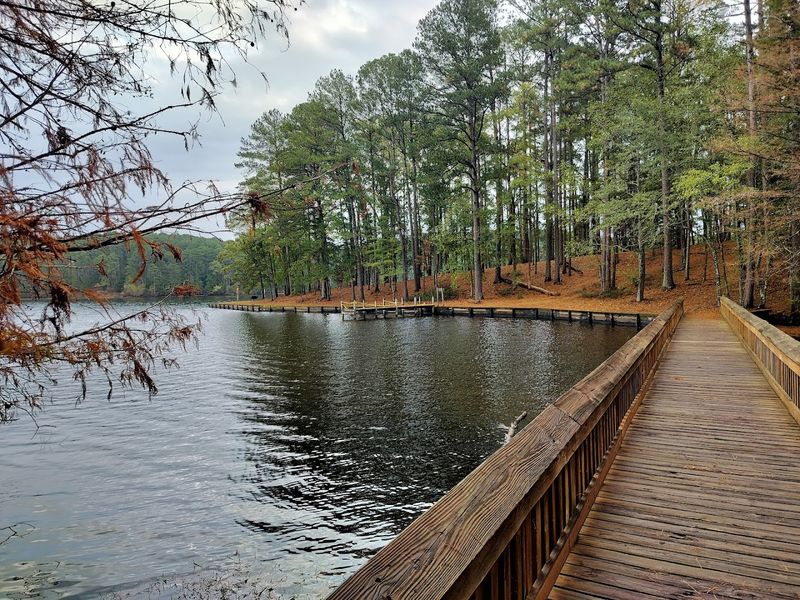 Fishing Is Genuinely Worth The Early Wake-Up