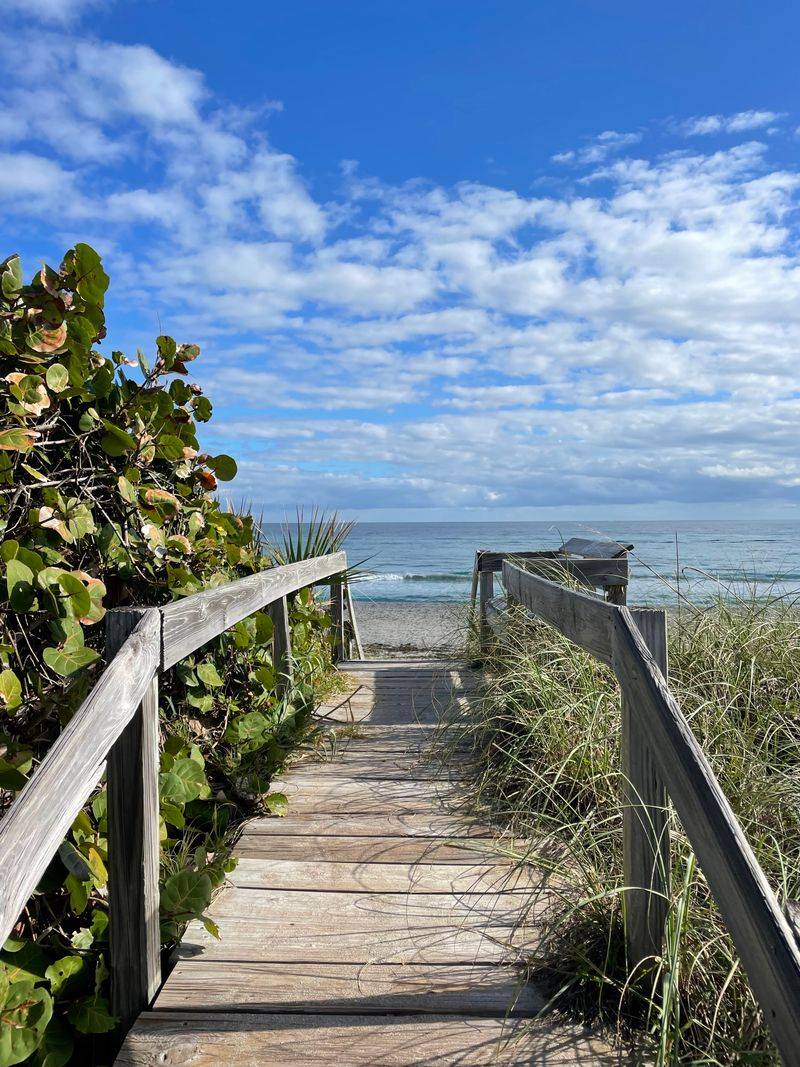 Accessibility And Walking Conditions