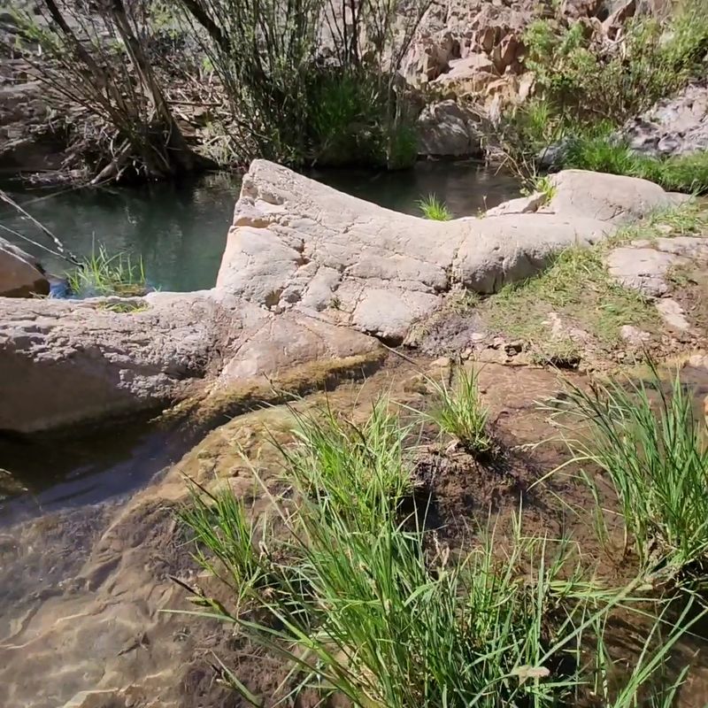 Swimming Holes Carved By The Current