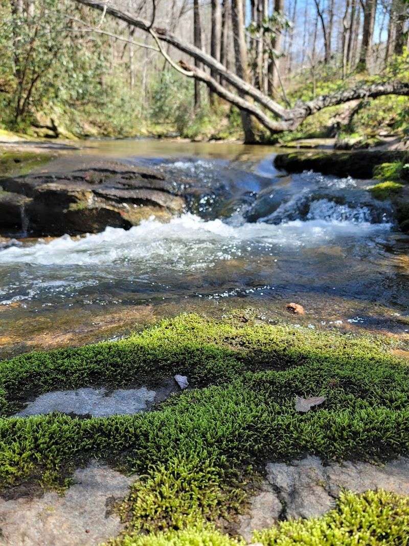 Rock Climbing Adventure
