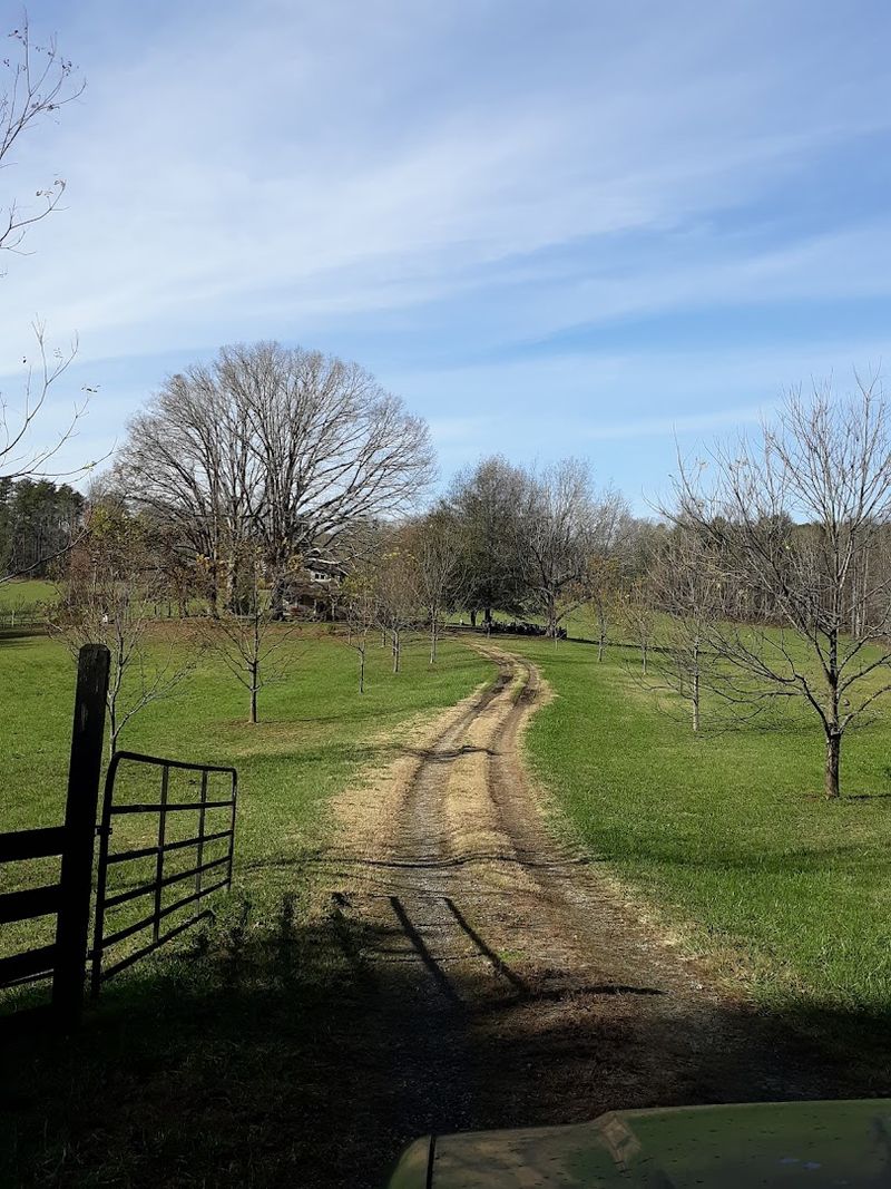 Watching The Sunset Over The Blue Ridge From Walhalla Road