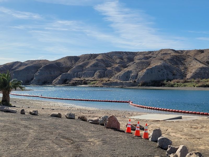 Swimming In The Colorado River