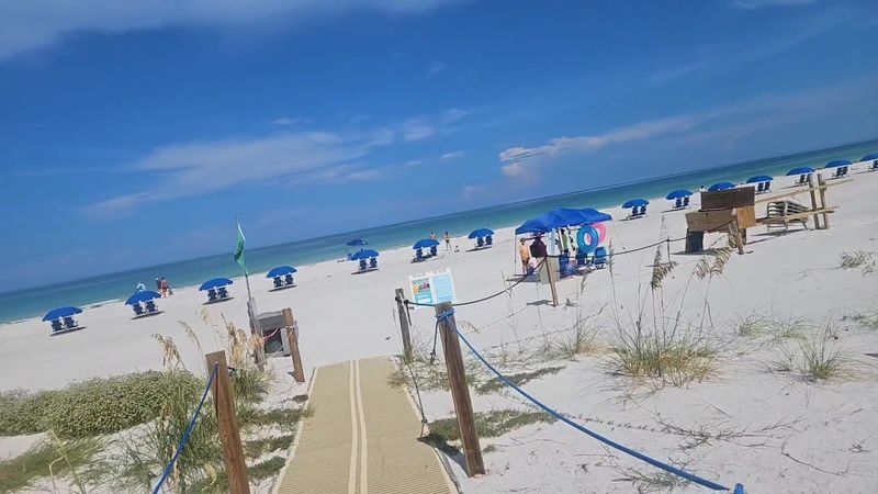 Swimming In The Gulf And What Makes It Special