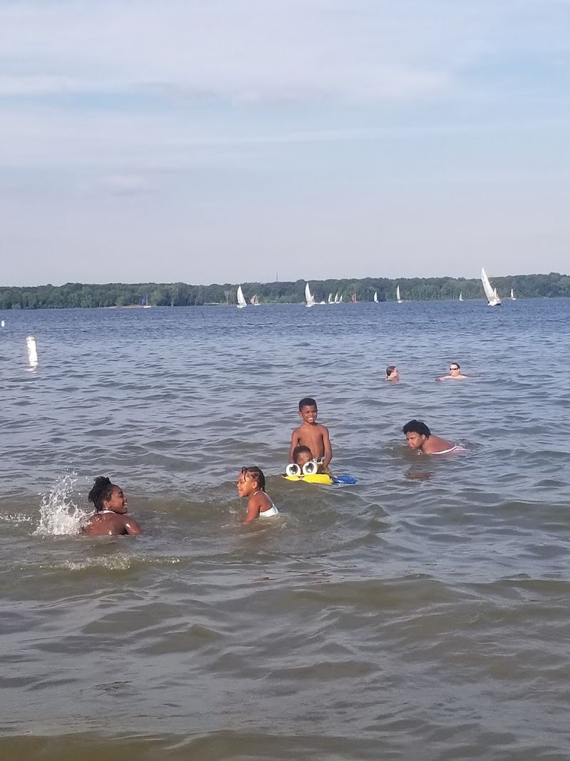 Swimming In The Reservoir Swimming In The Reservoir