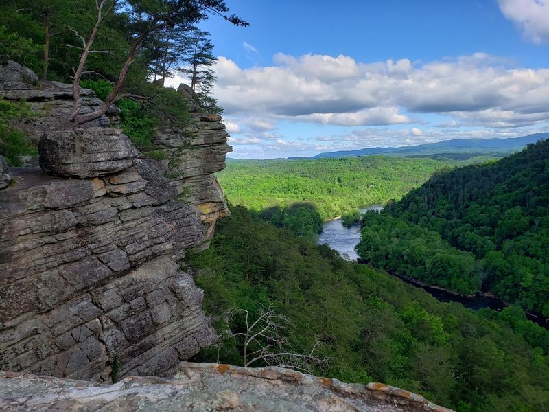 The Surrounding Cherokee National Forest