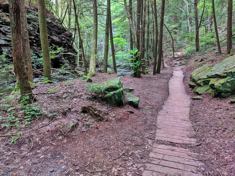 Wildlife And Nature Encounters Along The Trail