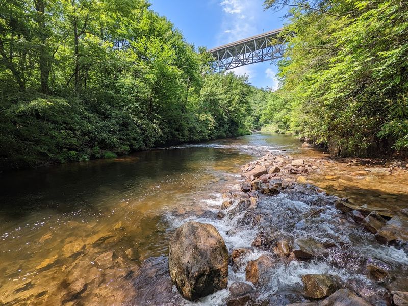 Trout Streams and Fishing Across the Park