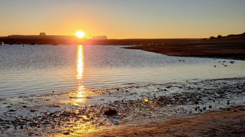 Swimming Tips And Safety At Lake Powell