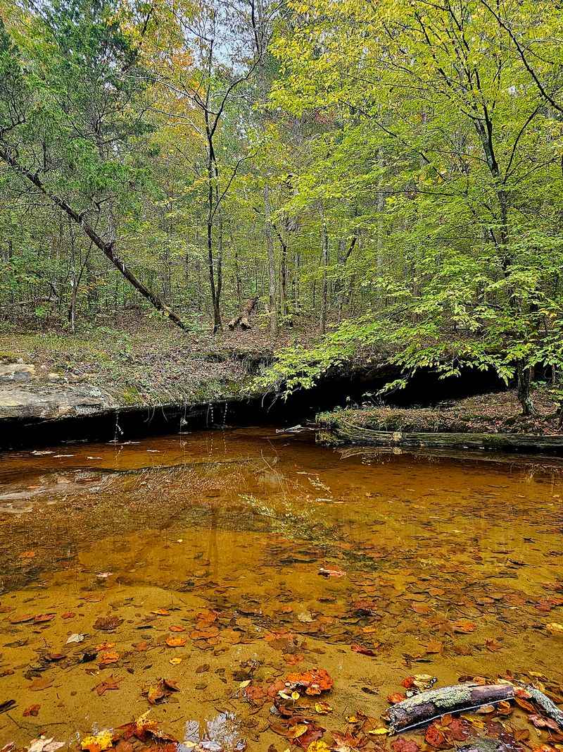 What To Know Before You Go