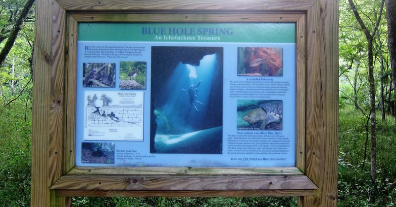 The Best Times To Plan Your Visit