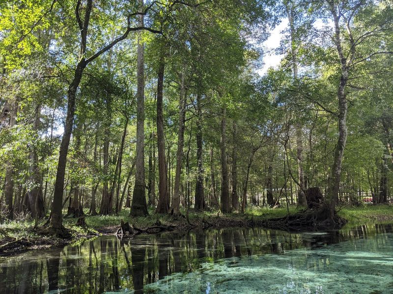 Camping Right Next to the Springs