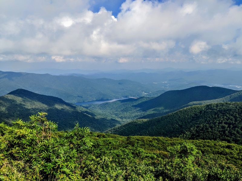 Savor The Asheville Overlooks