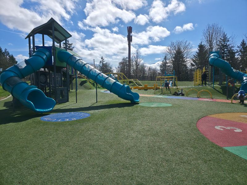 Swings and Climbing Structures Galore